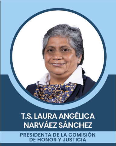 1-8 Comisiones Nacionales