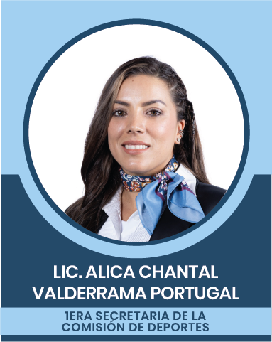 11-3 Comisiones Nacionales