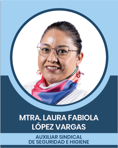 12-2 Representantes Sindicales en las Comisiones Nacionales Mixtas