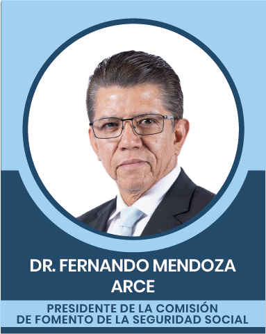 13-3 Comisiones Nacionales