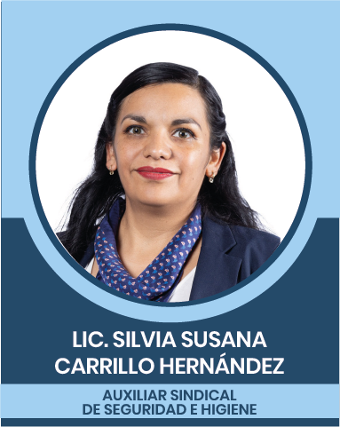 14-2 Representantes Sindicales en las Comisiones Nacionales Mixtas