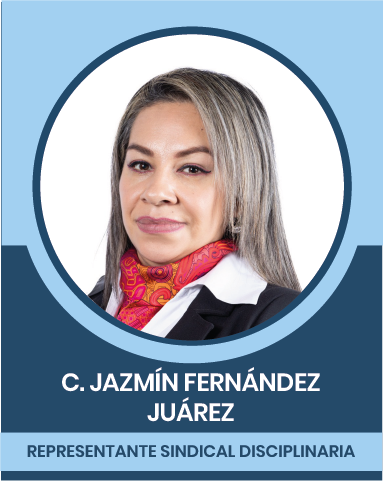 16-2 Representantes Sindicales en las Comisiones Nacionales Mixtas