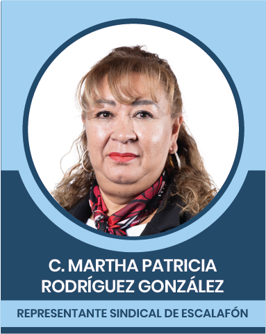 17-2 Representantes Sindicales en las Comisiones Nacionales Mixtas