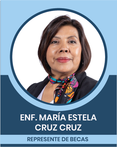 2-3 Representantes Sindicales en las Comisiones Nacionales Mixtas