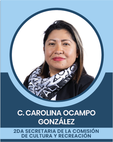 20-3 Comisiones Nacionales
