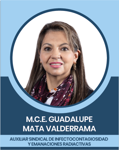 21-2 Representantes Sindicales en las Comisiones Nacionales Mixtas