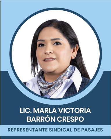 28-2 Representantes Sindicales en las Comisiones Nacionales Mixtas