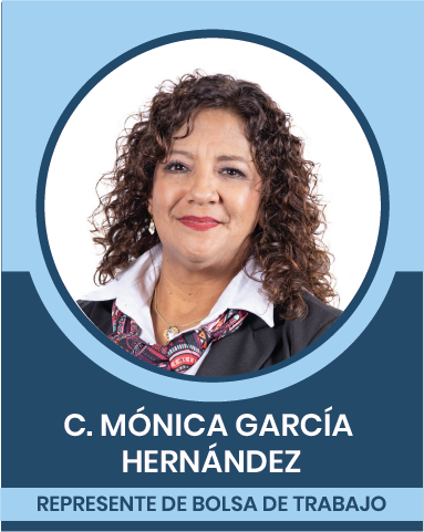 3-3 Representantes Sindicales en las Comisiones Nacionales Mixtas