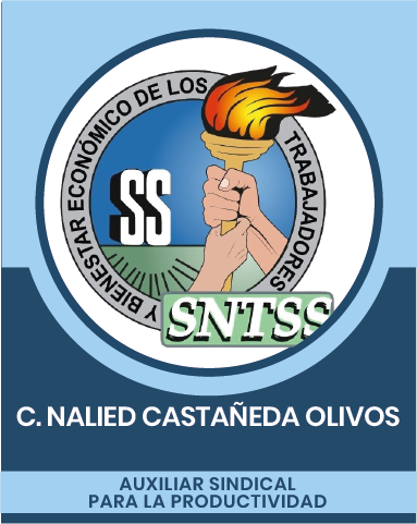 30-2 Representantes Sindicales en las Comisiones Nacionales Mixtas