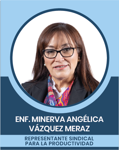 31-2 Representantes Sindicales en las Comisiones Nacionales Mixtas