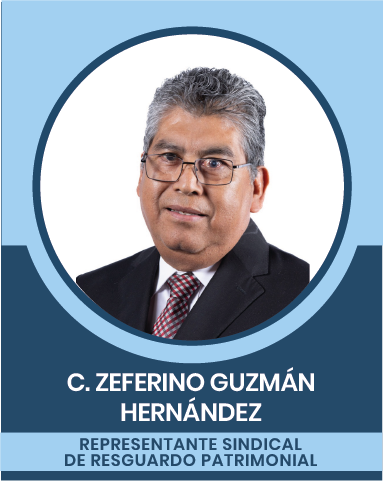 33-2 Representantes Sindicales en las Comisiones Nacionales Mixtas