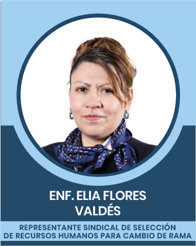 35-2 Representantes Sindicales en las Comisiones Nacionales Mixtas