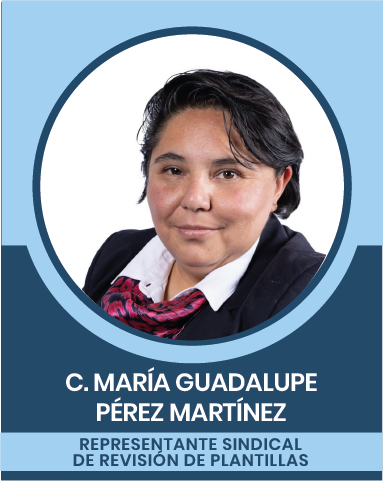 36-2 Representantes Sindicales en las Comisiones Nacionales Mixtas