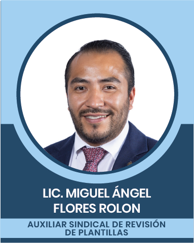 39-2 Representantes Sindicales en las Comisiones Nacionales Mixtas