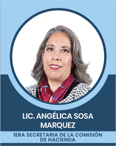 5-4 Comisiones Nacionales