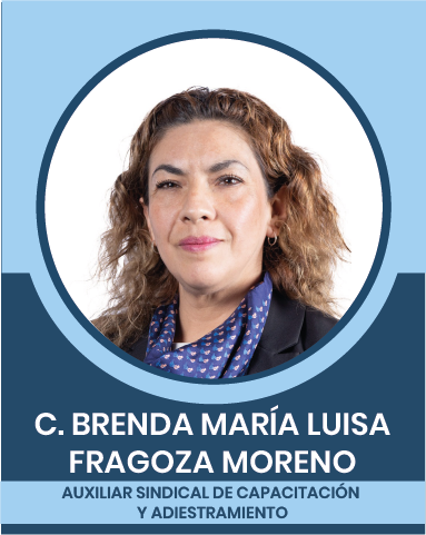 7-3 Representantes Sindicales en las Comisiones Nacionales Mixtas