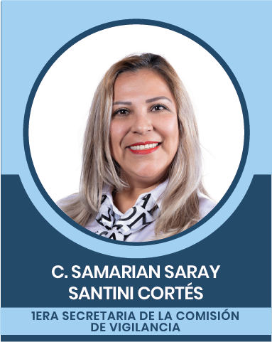 8-4 Comisiones Nacionales