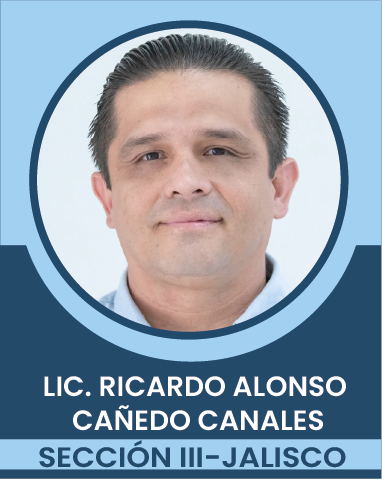 SECCION-III Comités Ejecutivos Seccionales