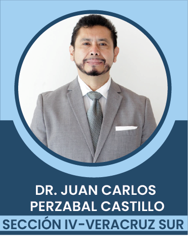 SECCION-IV Comités Ejecutivos Seccionales