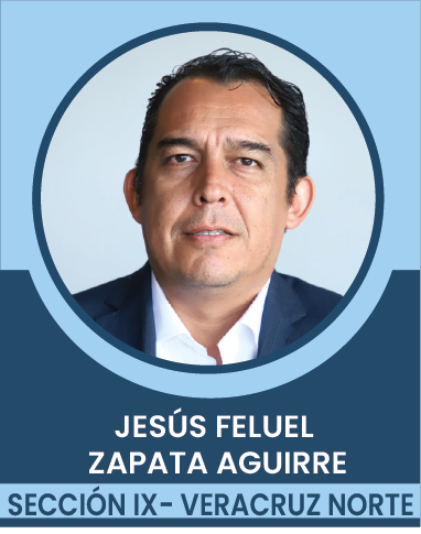 SECCION-IX Comités Ejecutivos Seccionales