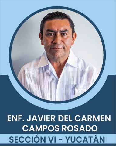 SECCION-VI Comités Ejecutivos Seccionales