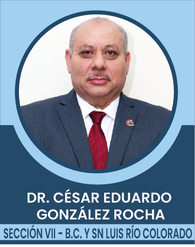 SECCION-VII Comités Ejecutivos Seccionales