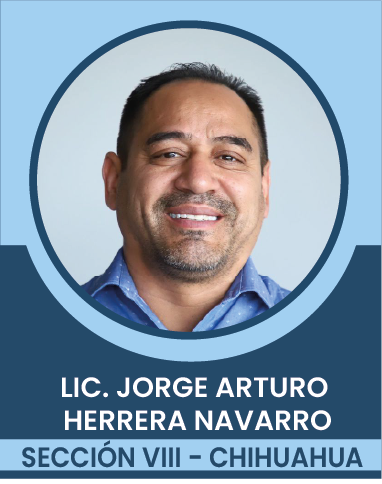 SECCION-VIII Comités Ejecutivos Seccionales