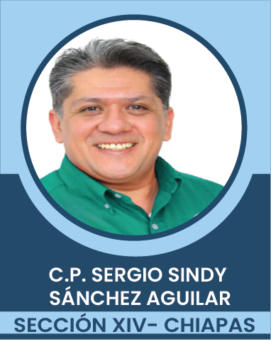 SECCION-XIV Comités Ejecutivos Seccionales