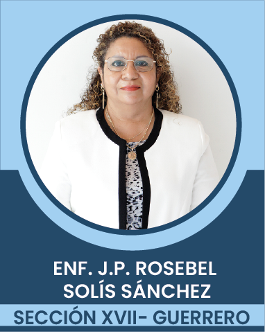 SECCION-XVII Comités Ejecutivos Seccionales