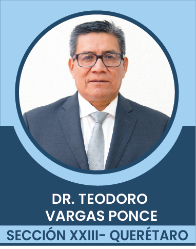 SECCION-XXIII Comités Ejecutivos Seccionales