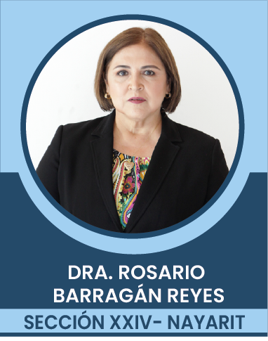 SECCION-XXIV Comités Ejecutivos Seccionales