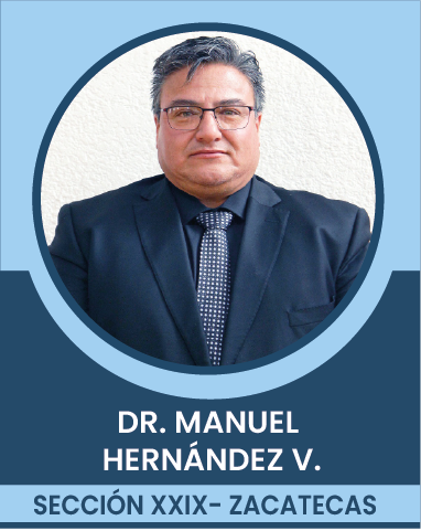 SECCION-XXIX Comités Ejecutivos Seccionales
