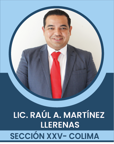 SECCION-XXV Comités Ejecutivos Seccionales