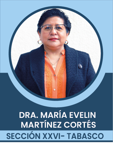 SECCION-XXVI Comités Ejecutivos Seccionales