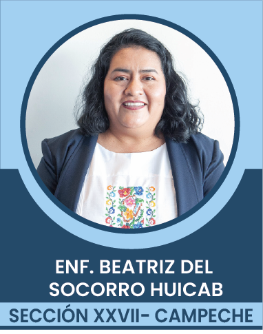 SECCION-XXVII Comités Ejecutivos Seccionales