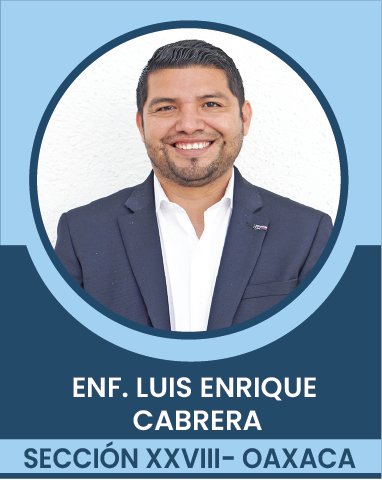 SECCION-XXVIII Comités Ejecutivos Seccionales