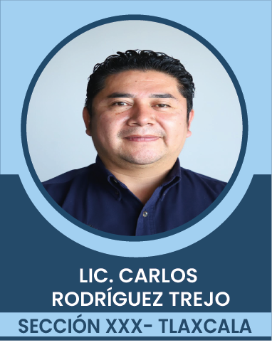 SECCION-XXX Comités Ejecutivos Seccionales