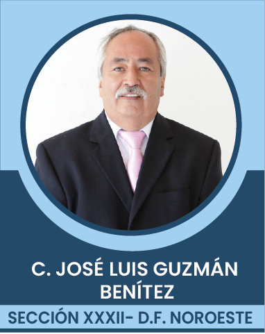 SECCION-XXXII Comités Ejecutivos Seccionales