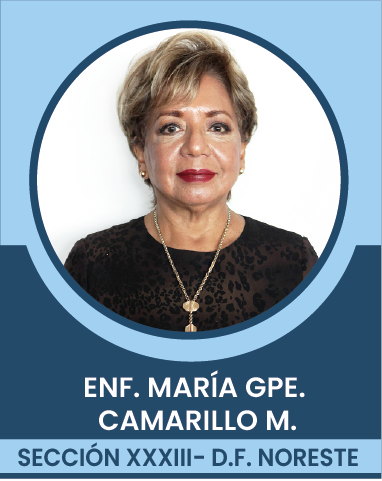 SECCION-XXXIII Comités Ejecutivos Seccionales